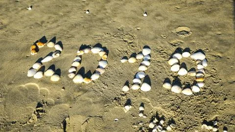 The New Year 2019 number with shells on sandy beach on holiday resort concept. Stock Photos