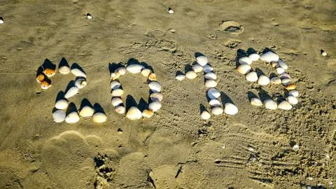 The New Year 2019 number with shells on sandy beach on holiday resort concept. Stock Photos