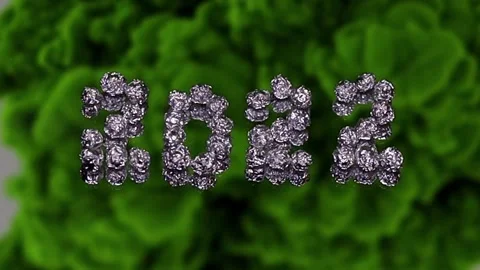 New Year 2022 Video stock 165844834