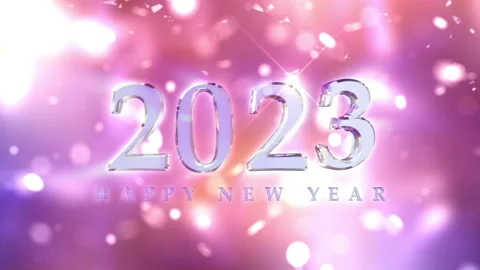 New Year 2023 Countdown Animation Stock Footage 219648185