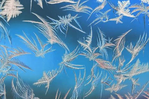 New Year and Christmas abstract icy snowy background with real ice crystals m Stock Photos