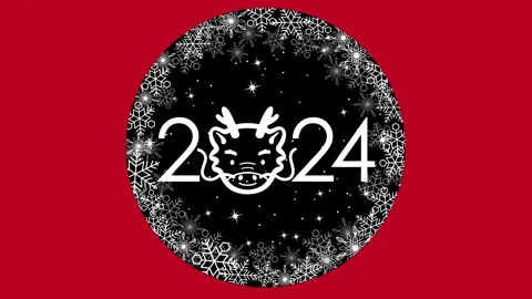 New year around the world. In a globe of stars and white flakes appears the Stock Footage 248708540