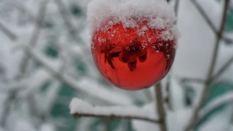 New Year ball Stock Footage 113348731