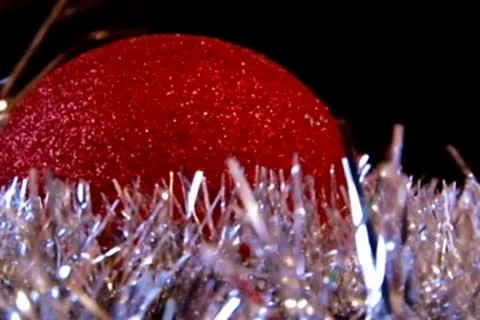 New year cat Stock Footage 10678256