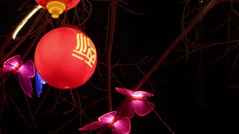 New Year Chinese red lantern decoration hanging on the tree Stock Footage 259958728