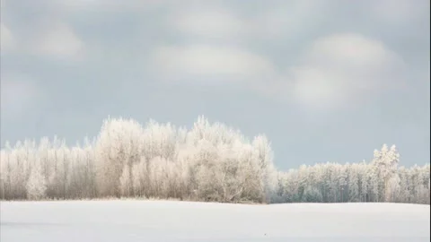 New Year is coming... Stock Footage 219722106