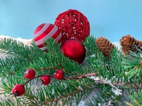 New Year composition. The branches of spruce with berries and pine cone Stock Photos