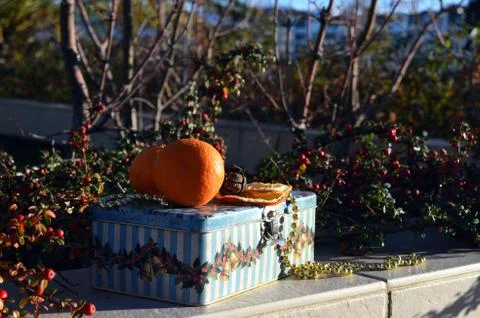 New Year composition with mandarins Stock Photos