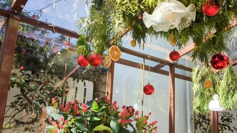 New year decoration in cafe. Stock Footage 266871272