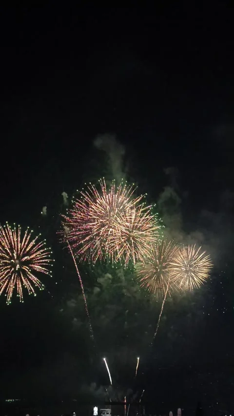 New Year Firework above beach, Pattaya Thailand Video stock 325987212