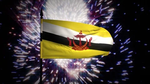New year firework flag of Brunei Stock Footage 100243220
