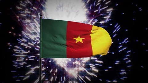 New year firework flag of Cameroon Stock Footage 101343475