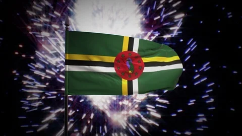 New year firework flag of Dominica Stock Footage 101345265