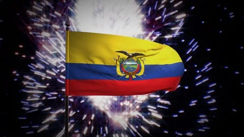 New year firework flag of Ecuador Stock Footage 100245248