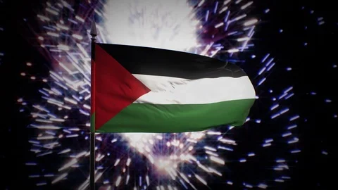 New year firework flag of Palestine Stock Footage 101353639