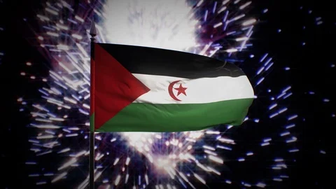 New year firework flag of the Sahrawi Arab Democratic Republic Stock-Footage 101356407