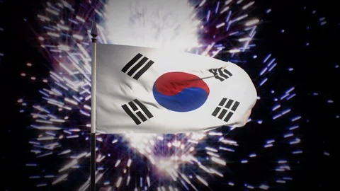 New year firework flag of South Korea Stock Footage 101354941