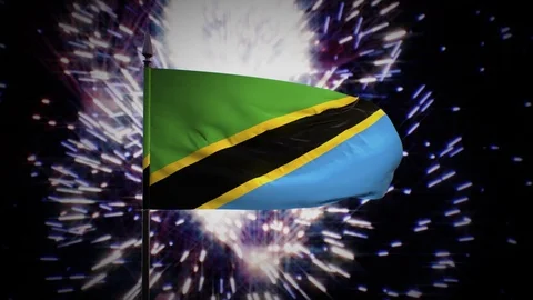New year firework flag of Tanzania Stock Footage 101355475
