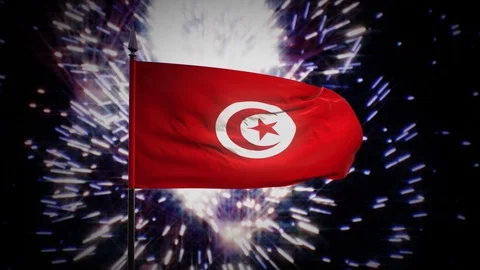 New year firework flag of Tunisia Stock Footage 101356776