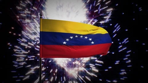 New year firework flag of Venezuela Stock Footage 101356968