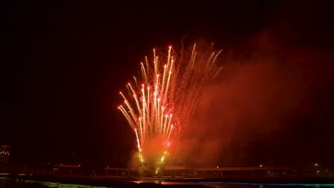 New Year Firework Stock Footage 229656713