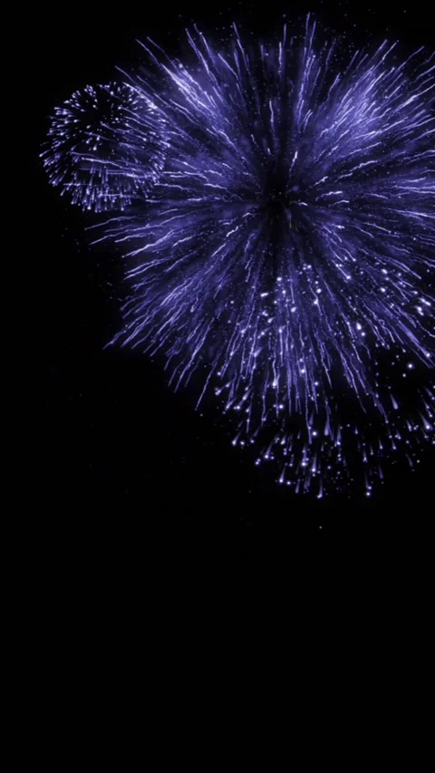 New year Fireworks Exploding in Midnight Sky Vertical Aspect Ratio Stock Footage 344763408