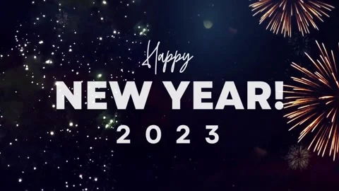 New Year Fireworks Stock Footage 223570941