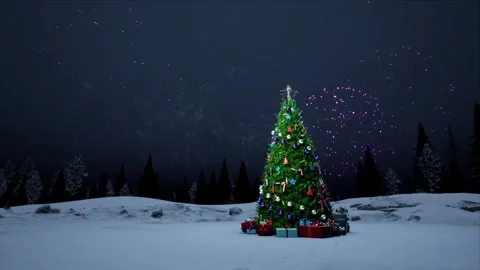 New Year Fireworks Stock Footage 314909087