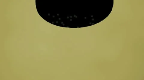 New Year Stock Footage 10313103