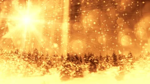 New Year Forest background 11 Stock Footage 12713194