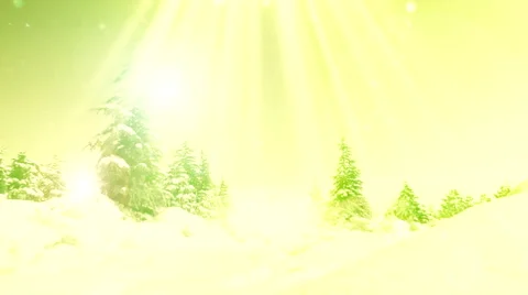 New year forest background 8 Stock Footage 42452479