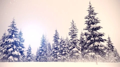 New year forest realistic animation 28 Stock Footage 83811068