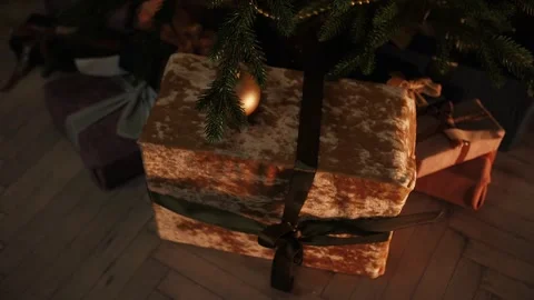 New Year gift under a decorated Christmas tree Stock Footage 292780713