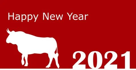 New Year greeting card with a white bull on a red background 스톡 일러스트