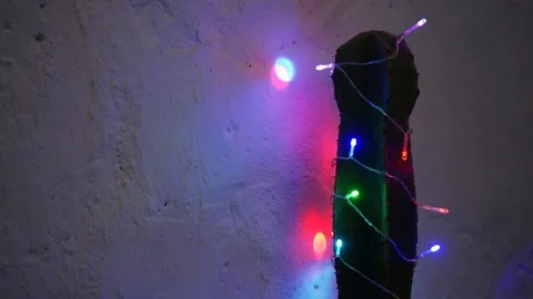 New Year or Christmas in a hot place. Instead of the Christmas tree, a green  Stock Footage 120542553