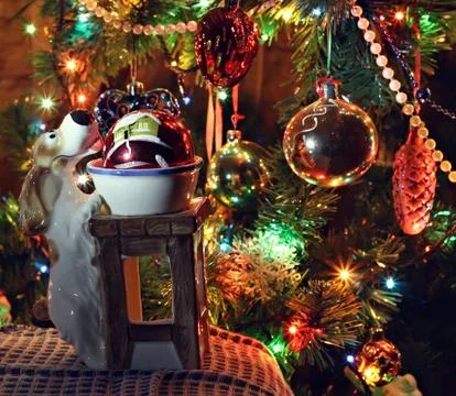 New year Stock Photos