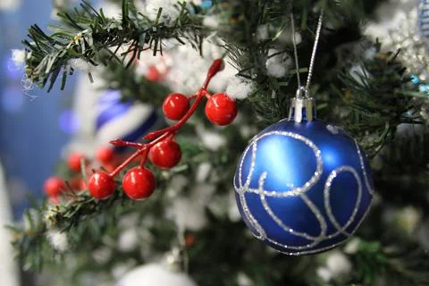 New year Stock Photos