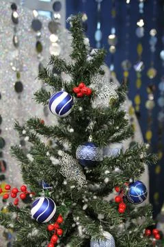 New year Stock Photos