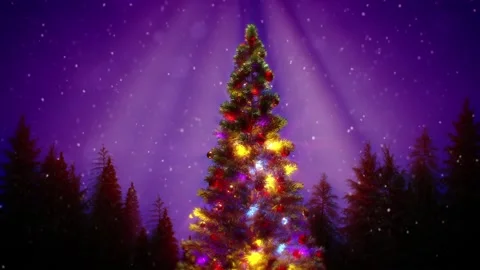 New year pine in night forest with sky, snow and falling star Video stock 168475551