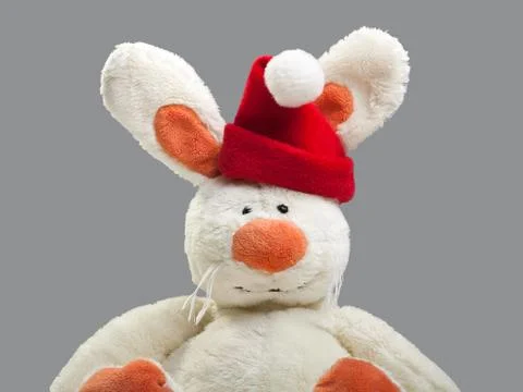 New year rabbit Stock Photos