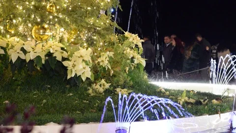 New Year in Sicily Stock Footage 100540876