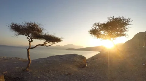 New Year Sunrise in Oman Motion Time Lapse Stock Footage