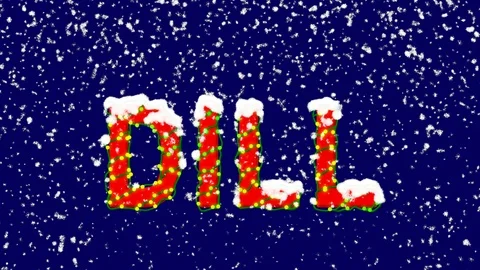 New Year text vegetable DILL. Snow falls. Christmas mood, looped video. Alpha Stock Footage 96541948