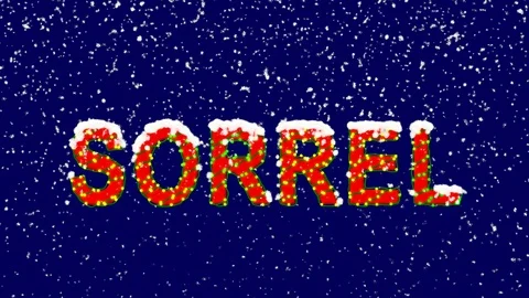 New Year text vegetable SORREL. Snow falls. Christmas mood, looped video. Alpha Stock Footage 96546638