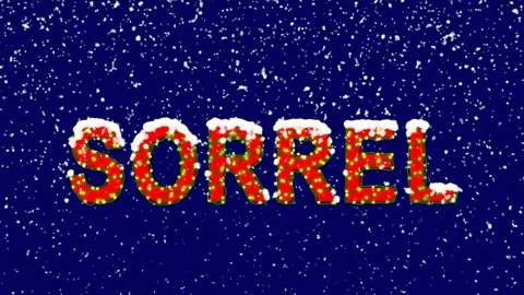 New Year text vegetable SORREL. Snow falls. Christmas mood, looped video. Alpha Stock Footage 96546936