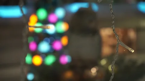 New Year Toy 2 Stock Footage 233996619