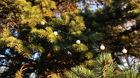 New year tree close up. 2 Stock Footage 98367658