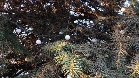 New year tree close up. 8 Stock Footage 98367613