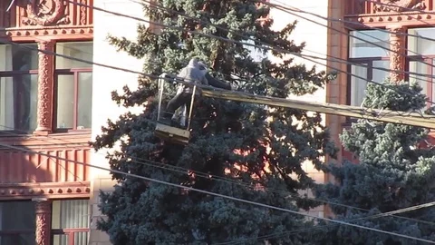 New Year tree decorating in the street, video Stock Footage 85162575