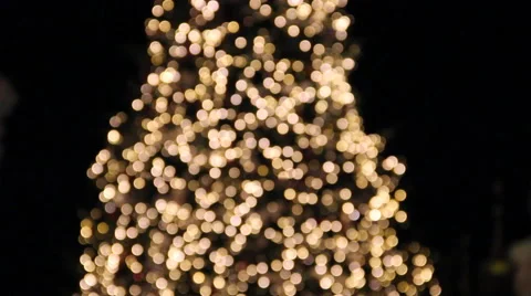 New Year Tree Stock Footage 52342279